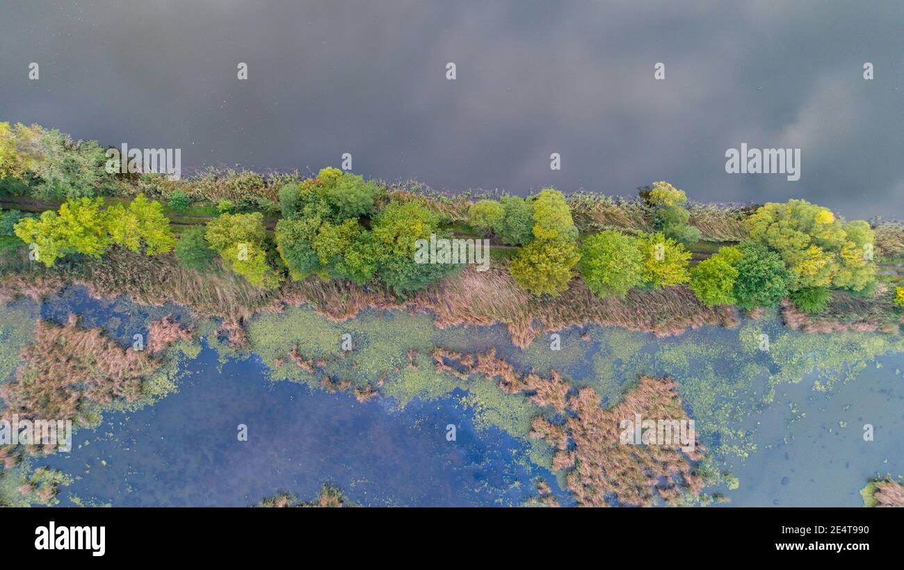 Luftdrohnenaufnahme von Milicz-Teichen in Polen Stockfoto