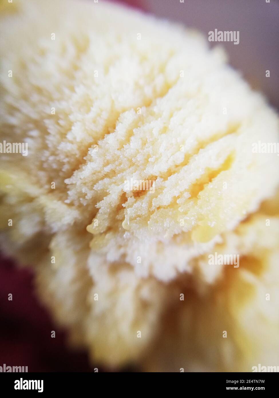 Mango-Sorbet-Kugel in Nahaufnahme. Essen, Stillleben, Ernährung, Eis Stockfoto
