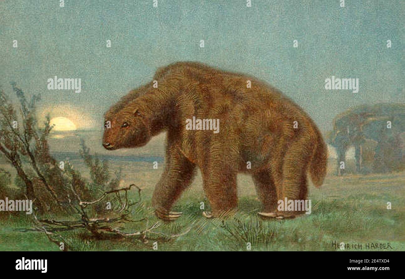 Megatherium. Stockfoto