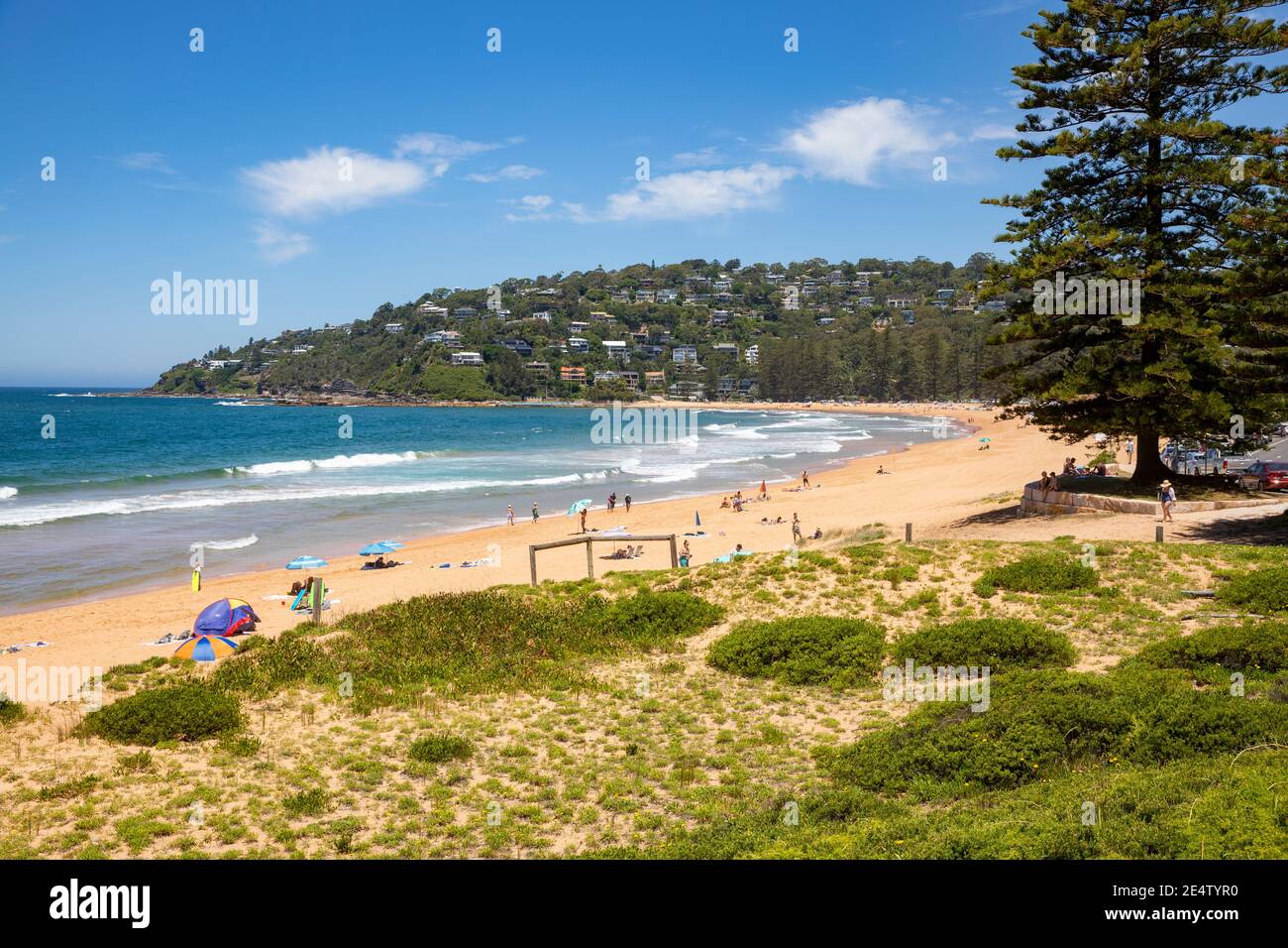 Palm Beach Sydney an einem heißen Sommertag mit Menschen Genießen Sie den Strand und das Meer, Sydney Northern Beaches, NSW, Australien Stockfoto