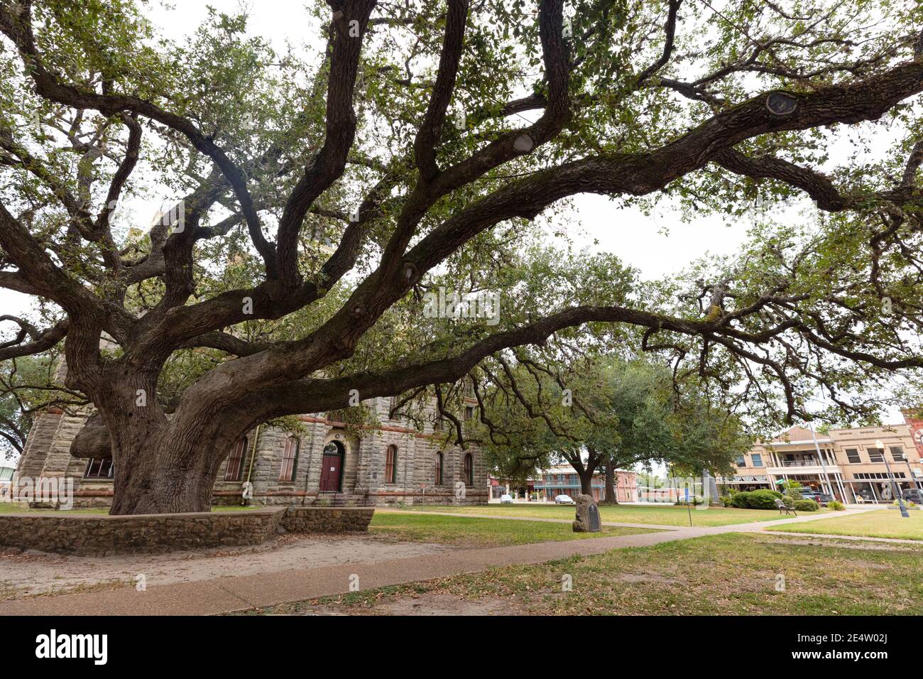 Der Hängebaum, vor dem Goliad County Courthouse in Texas, USA Stockfoto