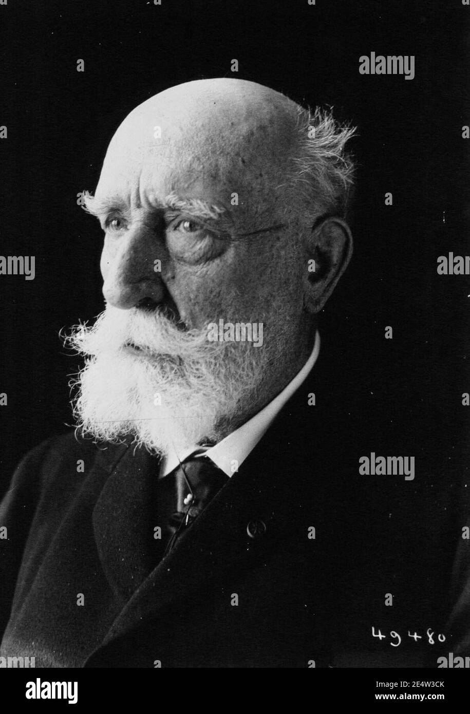 Melchior de Vogüé (1829-1916). Stockfoto