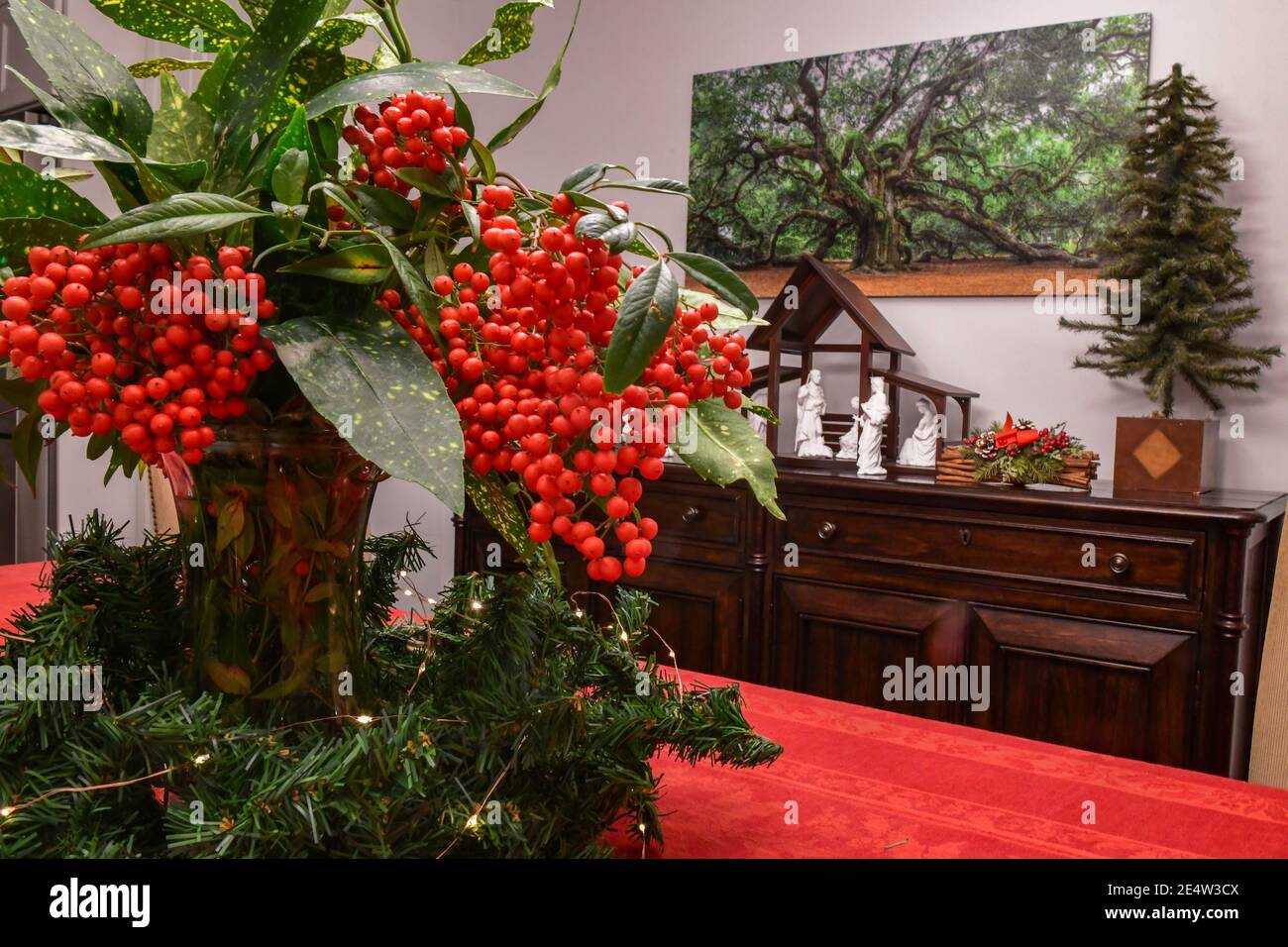Weihnachtsschmuck aus himmlischem Bambus Nandina domestica - rote Beeren auf immergrünen Busch oder heiligem Bambus - Berberidaceae Familie Stockfoto