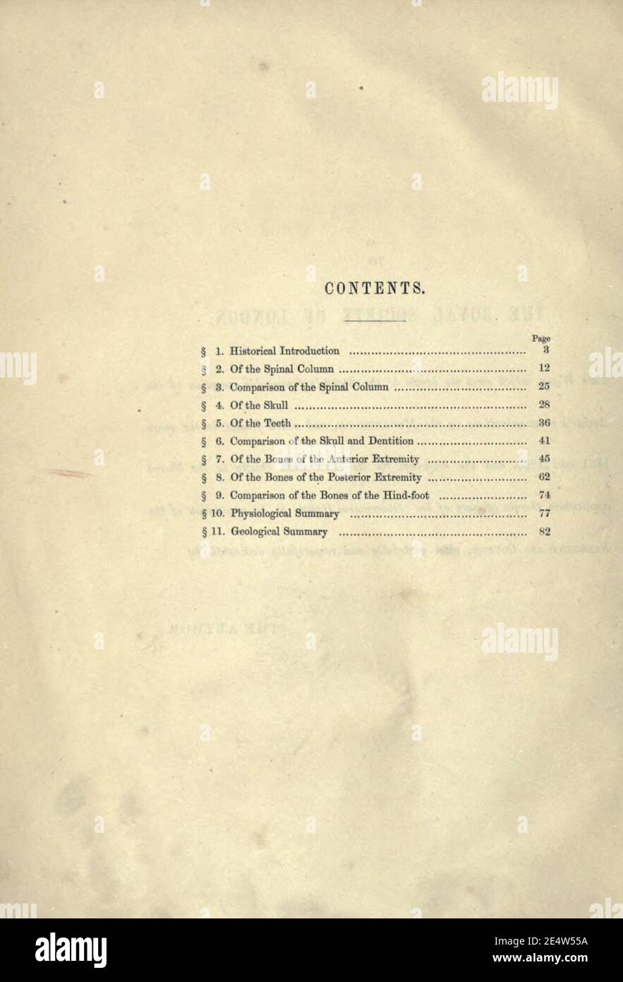 Memoiren über das Megatherium oder riesige Bodenfaulheit Amerikas Stockfoto