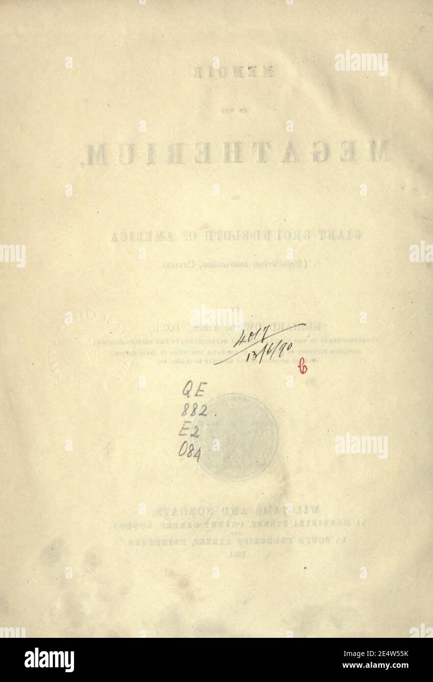 Memoiren über das Megatherium oder riesige Bodenfaulheit Amerikas Stockfoto