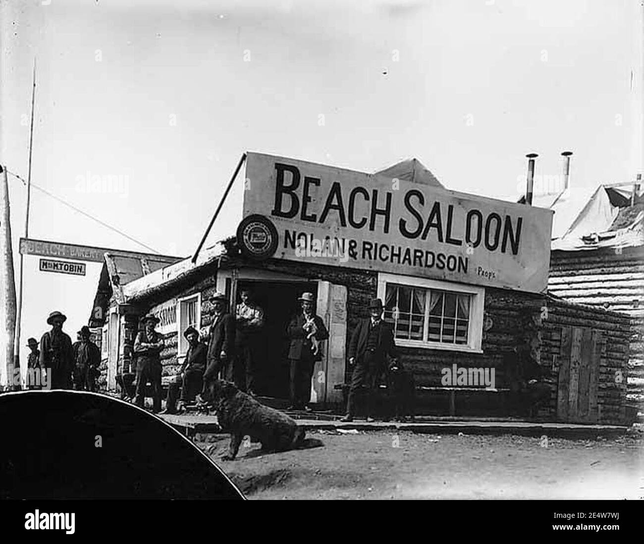 Männer und Hunde vor dem Beach Saloon and Bakery, Council, Alaska, um 1907 (AL+CA 100). Stockfoto