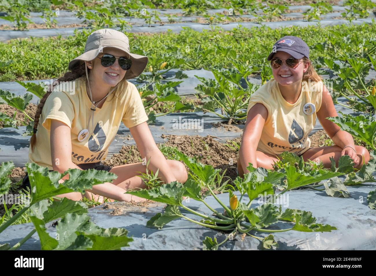 Menschen, die in einem großen Gemeinschaftsgarten arbeiten, um Nahrung zu produzieren Für die Worcester Food Bank Stockfoto