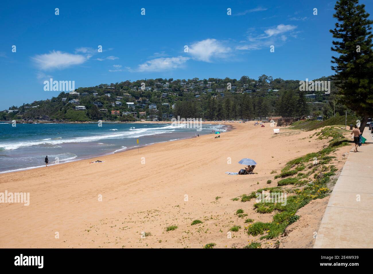 Palm Beach Sydney Blick nach Süden entlang des Strandes an einem Sommertag, Sydney nördlichen Stränden, NSW, Australien Stockfoto