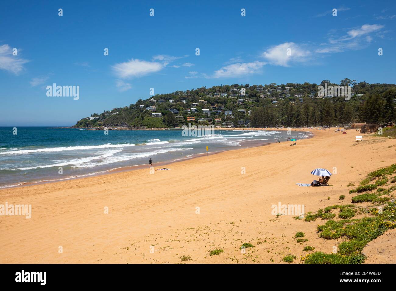 Palm Beach Sydney Blick nach Süden entlang des Strandes an einem Sommertag, Sydney nördlichen Stränden, NSW, Australien Stockfoto