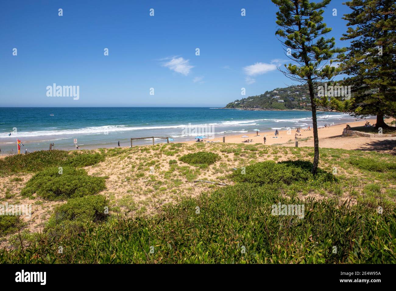 Palm Beach Sydney Blick nach Süden entlang des Strandes an einem Sommertag, Sydney nördlichen Stränden, NSW, Australien Stockfoto