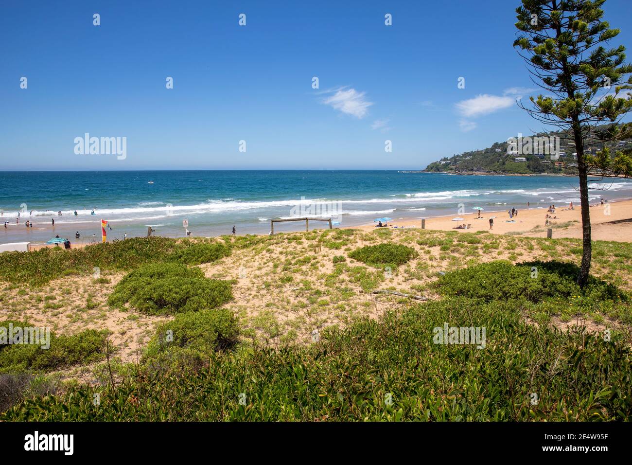 Palm Beach Sydney Blick nach Süden entlang des Strandes an einem Sommertag, Sydney nördlichen Stränden, NSW, Australien Stockfoto