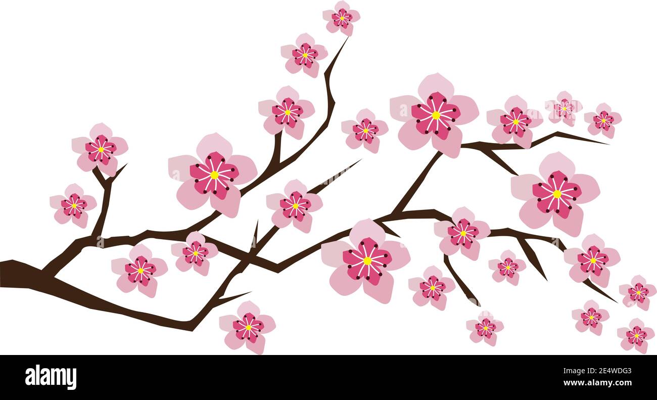 vektor-Illustration von Blütenzweigen mit rosa Blüten, Kirschblüte, Orchidee. Stock Vektor