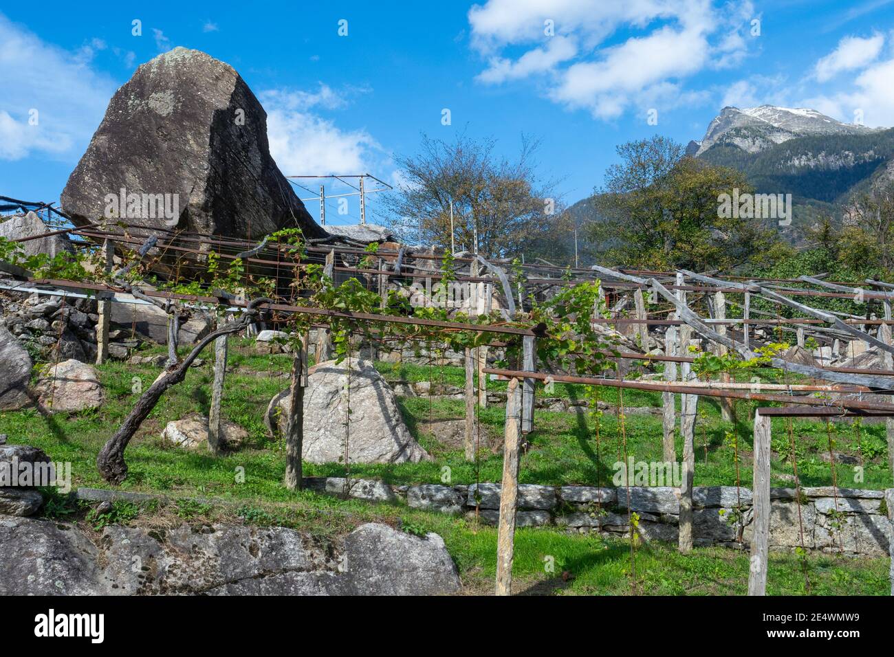 Alpine Weinberg in valle di blenio, Schweiz Stockfoto
