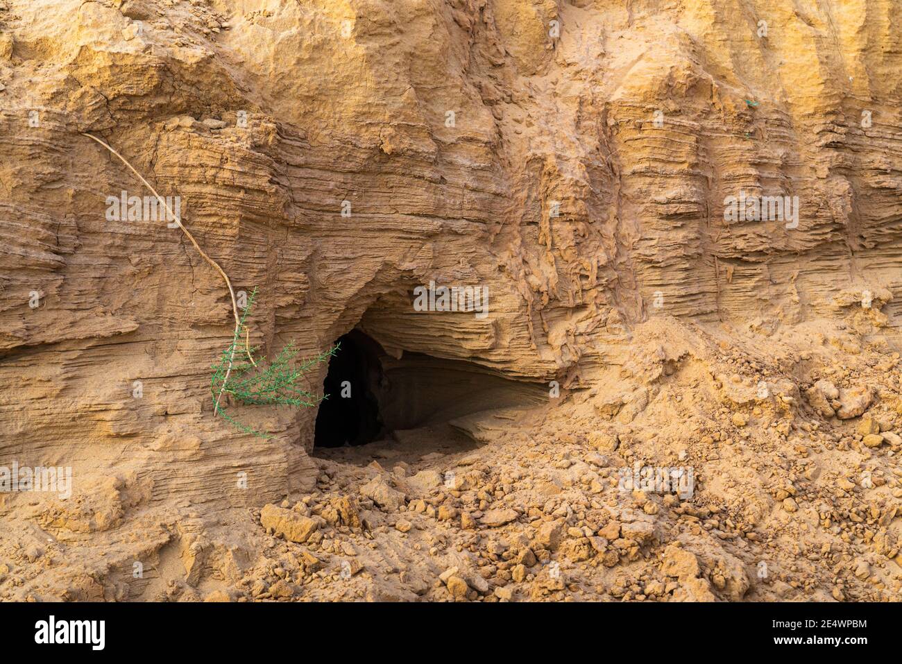 Cave, hole or burrow in the sand ground. Stockfoto