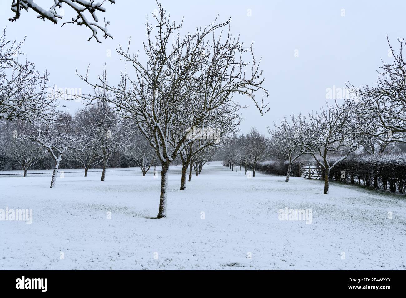 Ländliche Winterlandschaft mit Schnee Stockfoto