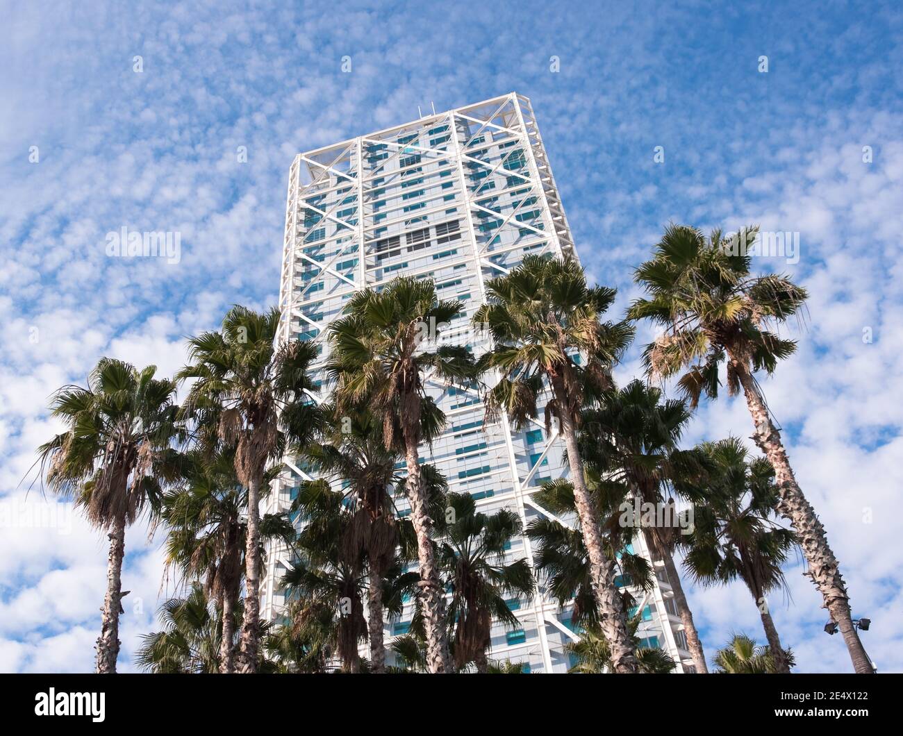 Barcelona, Spanien - 10. Dezember 2011: Hochhaus Diagonal Zero Tower und Palmen gegen bewölkten Himmel in Barcelona, Spanien Stockfoto