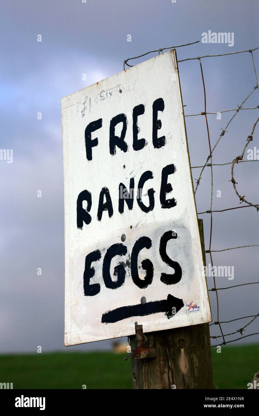 Freilandeier zum Verkauf am Rande der Landstraße in Devon. England. Freilandeier können in Großbritannien ab dem 21.. März 2022 aufgrund der Vogelgrippe nicht mehr verkauft werden. Stockfoto