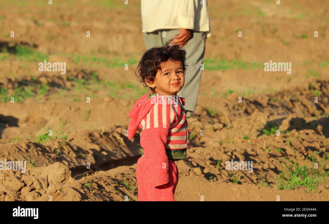 Ein schönes indisches kleines Kind ging, um die Ernte in seinem Feld während der Wintermonate mit Großvater, indien gewachsen zu sehen Stockfoto