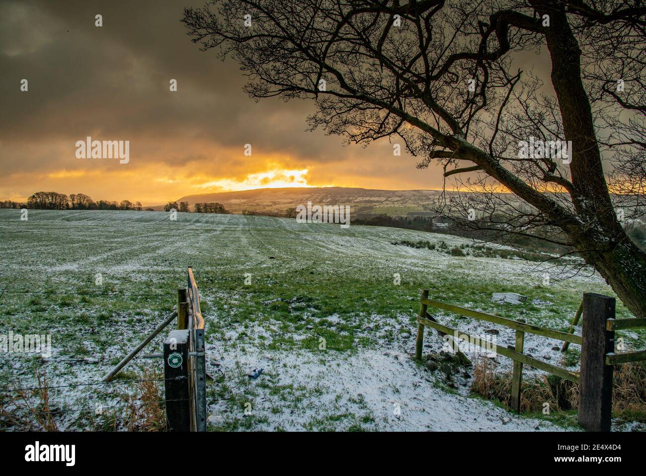 Preston, Lancashire, Großbritannien. Januar 2021. Sonnenaufgang in Chipping bei Preston, Lancashire. Kredit: John Eveson/Alamy Live Nachrichten Stockfoto