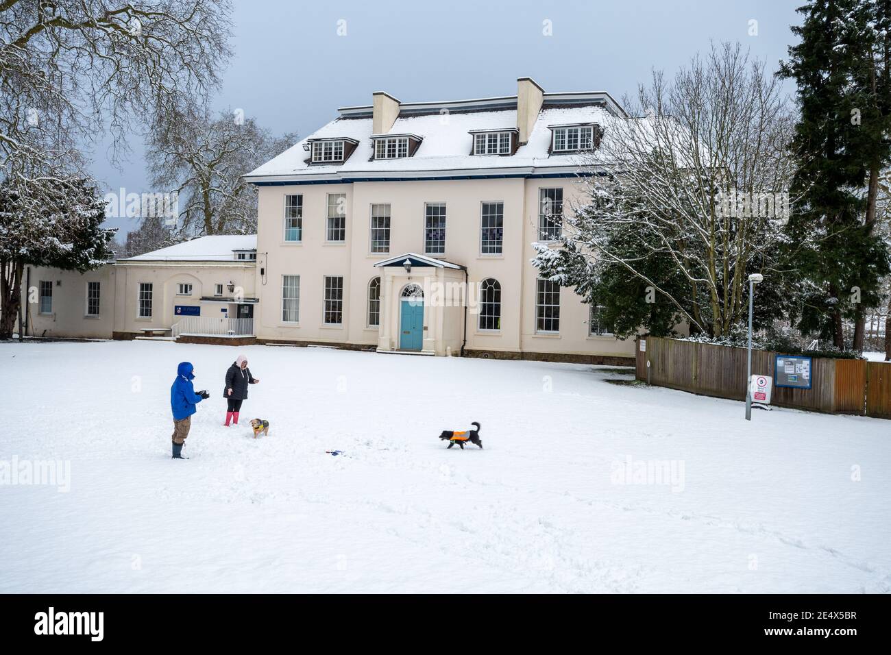 St Peter's School, früher Farnborough Place, ein altes Herrenhaus, im Januar oder Winter mit Schnee, und Menschen mit Hunden, Farnborough, Hampshire, Großbritannien Stockfoto