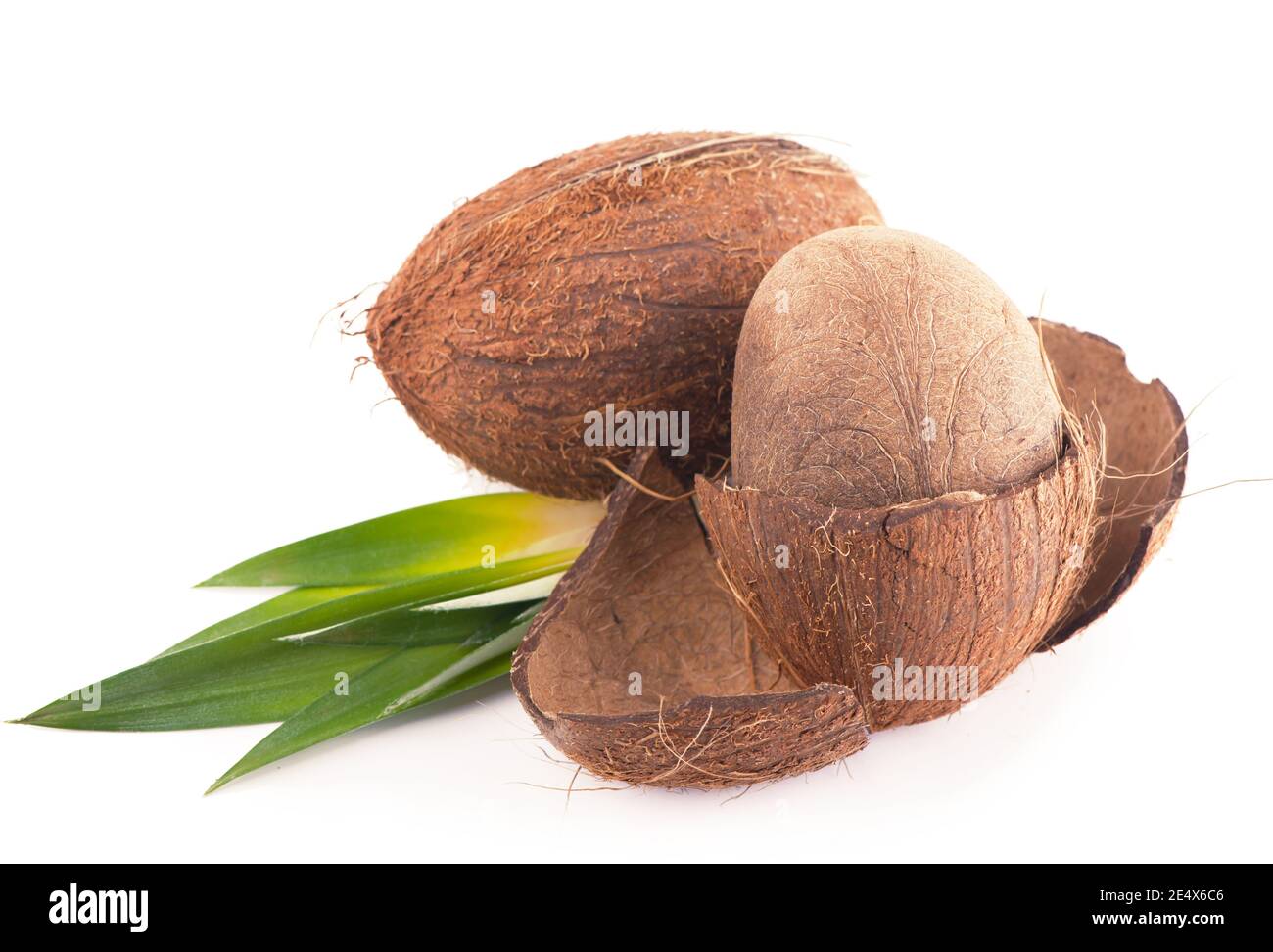 Kokosnüsse mit Blättern auf weißem Hintergrund. Stockfoto