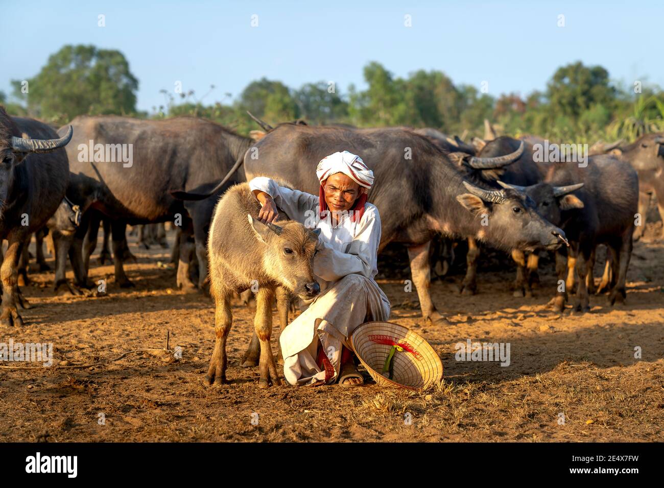 Binh Thanh Kommune, Tuy Phong Bezirk, Binh Thuan Provinz, Vietnam - 15. Januar 2021: Ein Cham ethnischen Minoryties Mann streichelte ein Büffelkalb in h Stockfoto