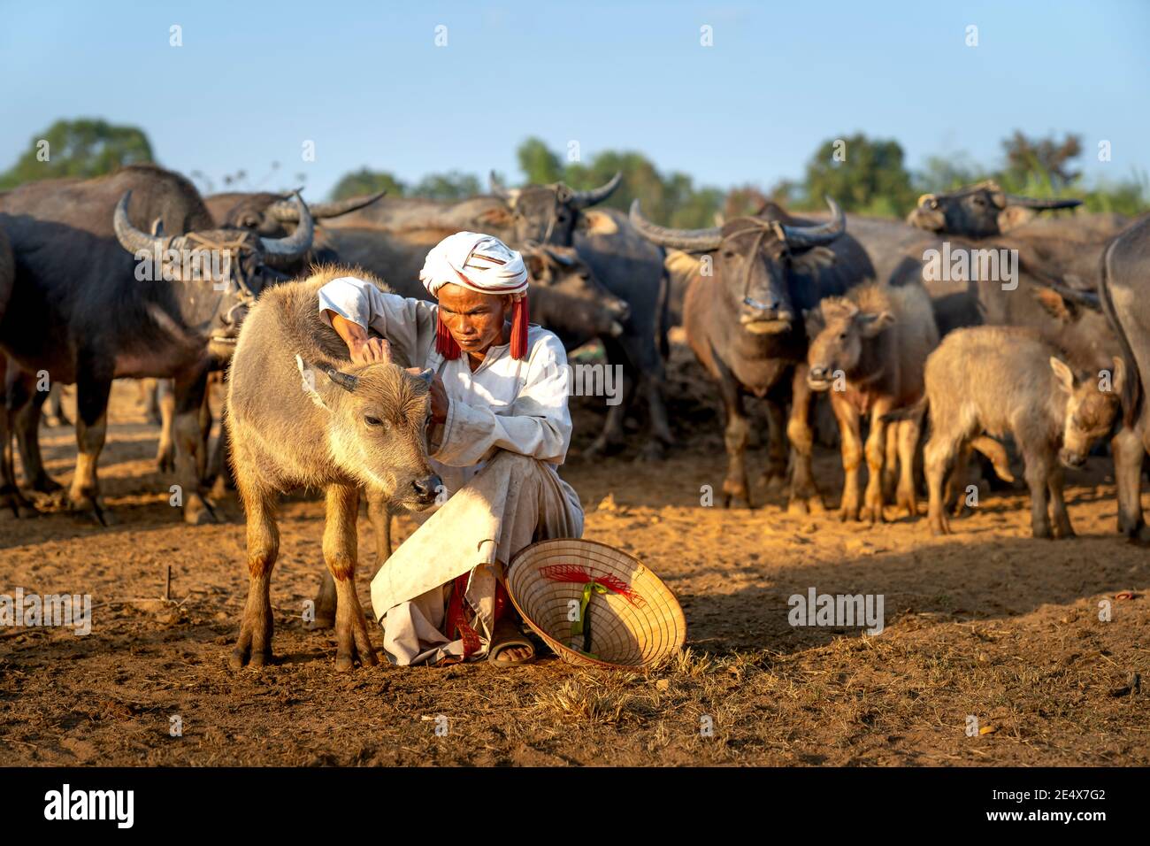 Binh Thanh Kommune, Tuy Phong Bezirk, Binh Thuan Provinz, Vietnam - 15. Januar 2021: Ein Cham ethnischen Minoryties Mann streichelte ein Büffelkalb in h Stockfoto