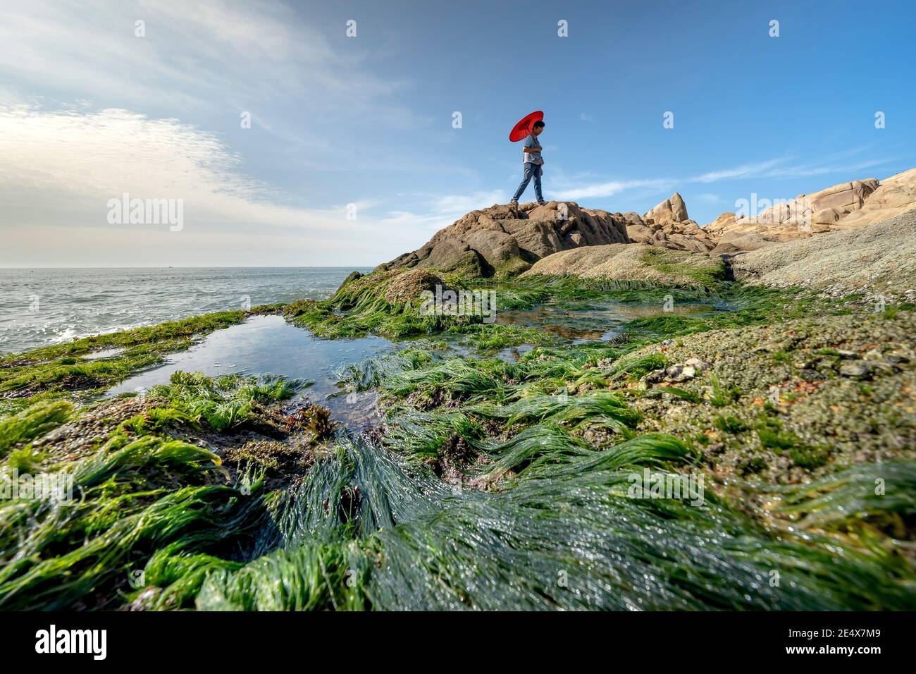 Gemeinde Binh Thanh, Distrikt Tuy Phong, Provinz Binh Thuan, Vietnam - 16. Januar 2021: Stein und grünes Moos am Strand von Co Thach Stockfoto