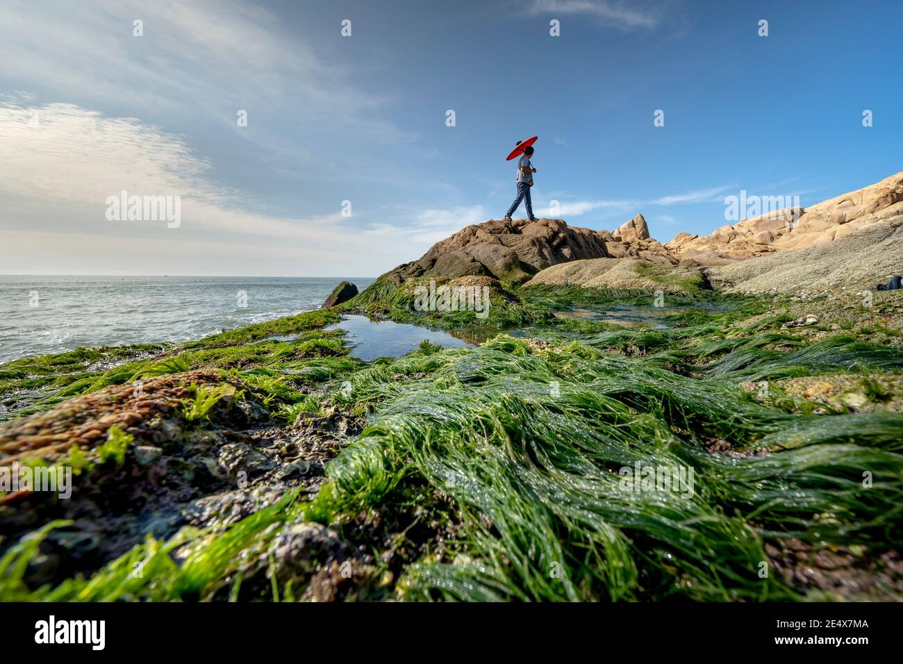 Gemeinde Binh Thanh, Distrikt Tuy Phong, Provinz Binh Thuan, Vietnam - 16. Januar 2021: Stein und grünes Moos am Strand von Co Thach Stockfoto