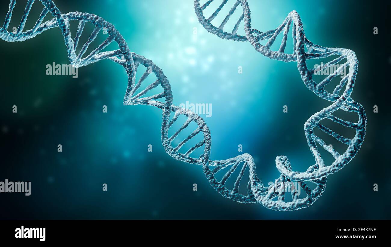 Doppelte Helix DNA Stränge auf einem blauen Hintergrund mit Copy Space 3D Rendering Illustration. Genetik, Wissenschaft, Genom, Medizin, Biologie Konzepte. Stockfoto