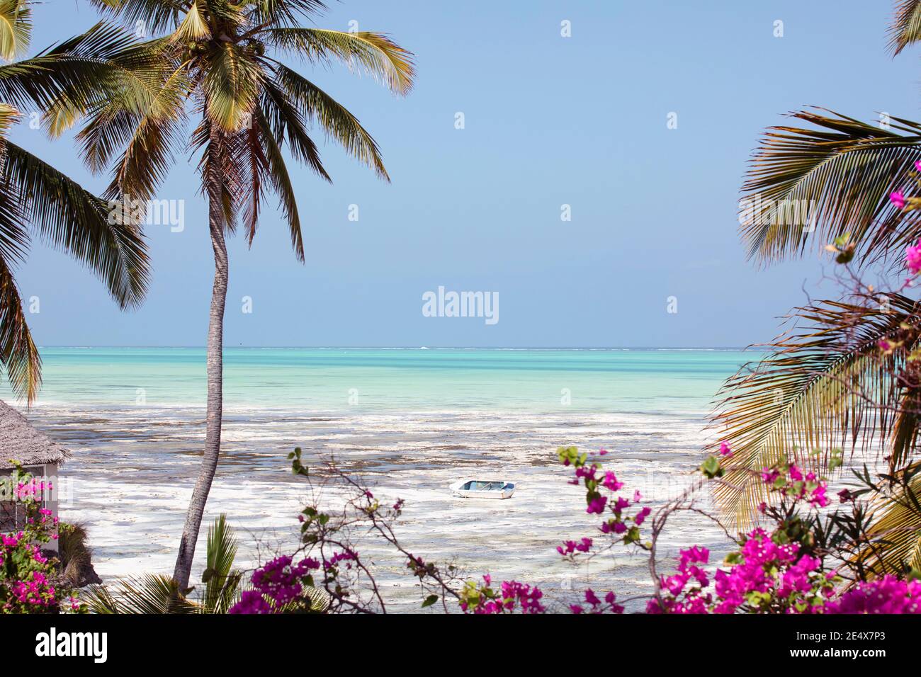 Schöne paradiesische Landschaft der Insel Sansibar. Tropisches Klima, Strand mit türkisfarbenem Meer, Kokospalmen, Blumen und Holzboot. Stockfoto