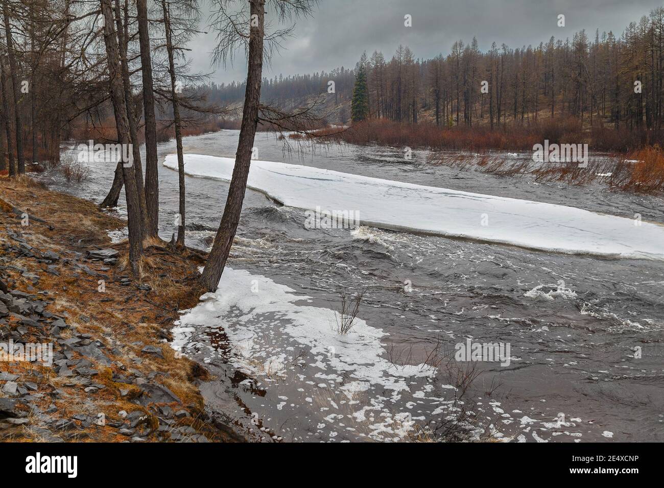 Frühlingslandschaft bei schlechtem Wetter mit einem Bach und Eisscholle in Südjakutien, Russland. Stockfoto