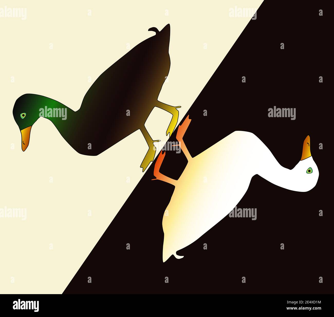 Ente und drake auf verschiedenen Hintergründen, Art Deco Illustration Stockfoto