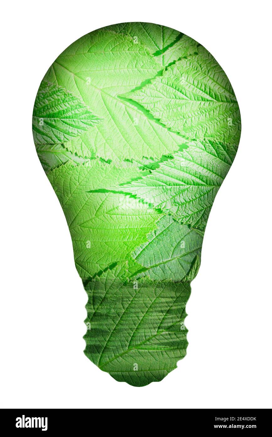 Abstraktes Bild einer Glühbirne gefüllt mit grünen Blättern. Das Konzept der energiesparenden Technologien und des Umweltschutzes. Stockfoto
