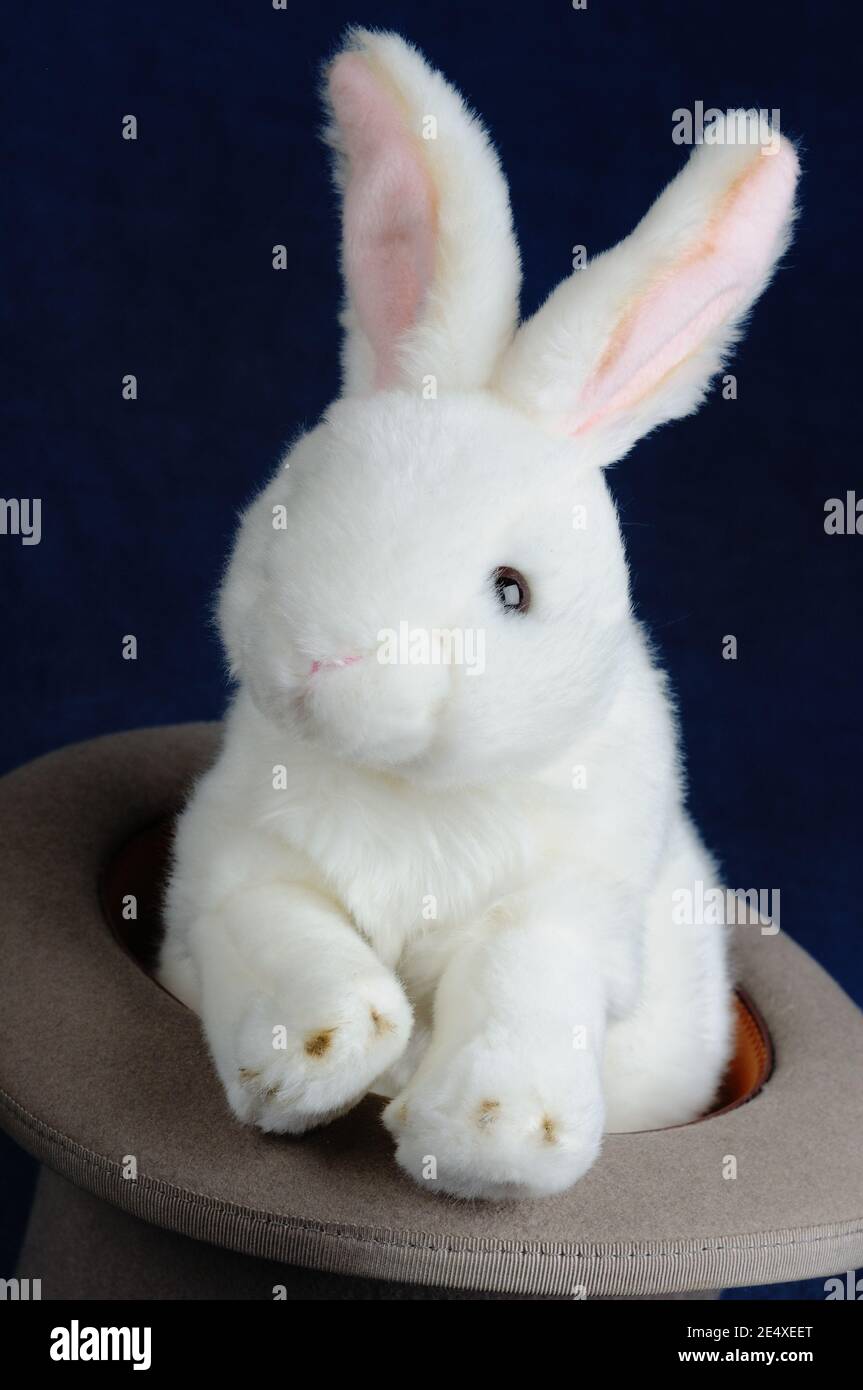 Weißes Kaninchen weiches Spielzeug in einem Hut, Konzept Bild zeigt Magie oder Schlitten der Hand. Stockfoto