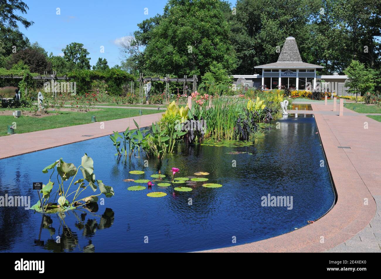 Wassergarten und Teehaus im Pavillon des Royal Botanical Gardens in Hamilton, Kanada Stockfoto