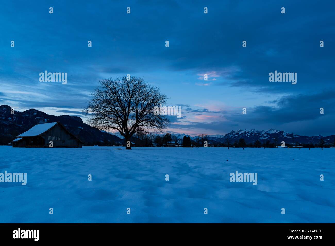 Zartfarbener Sonnenaufgang im Rheintal. Schöner Sonnenaufgang im Rheintal. Heuscheune und Einzelbaum auf verschneiten Feldern. Stadel und einzelner Baum. Österreich Stockfoto