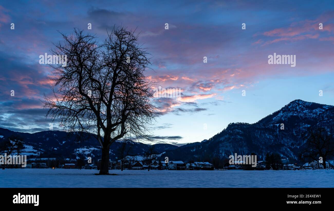 Zartfarbener Sonnenaufgang im Rheintal. Leuchtender Sonnenaufgang in Dornbirn, Vorarlberg, Österreich. Roter und orangefarbener Sonnenaufgang im Winter, mit Bäumen Stockfoto