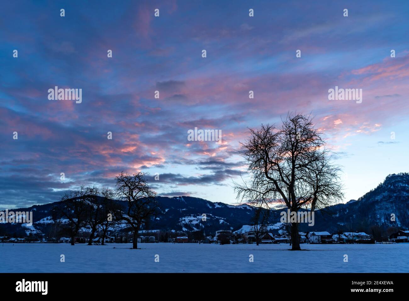 Zartfarbener Sonnenaufgang im Rheintal. Leuchtender Sonnenaufgang in Dornbirn, Vorarlberg, Österreich. Roter und orangefarbener Sonnenaufgang im Winter, mit Bäumen Stockfoto