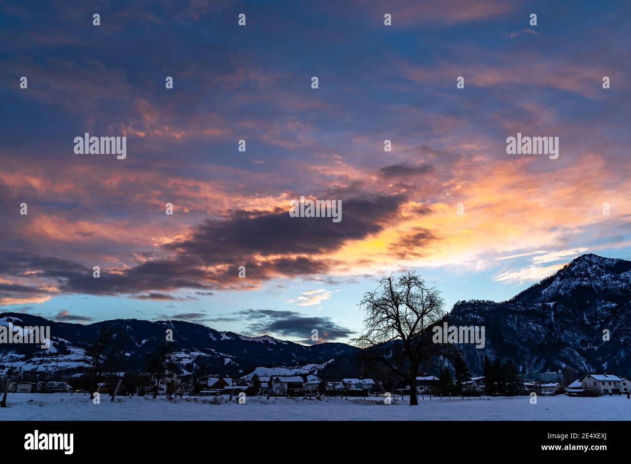 Zartfarbener Sonnenaufgang im Rheintal. Leuchtender Sonnenaufgang in Dornbirn, Vorarlberg, Österreich. Roter und orangefarbener Sonnenaufgang im Winter, mit Bäumen Stockfoto