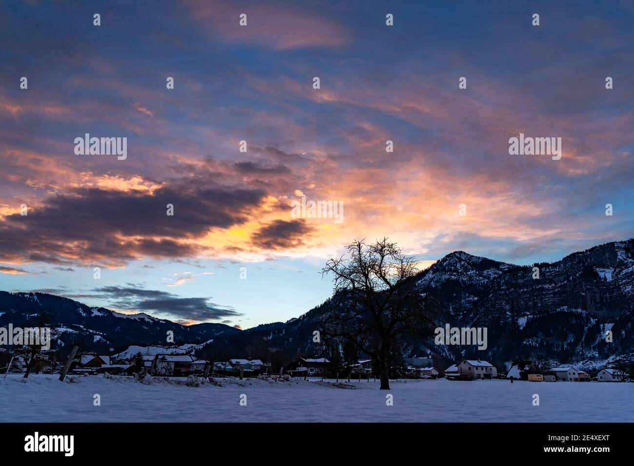 Zartfarbener Sonnenaufgang im Rheintal. Leuchtender Sonnenaufgang in Dornbirn, Vorarlberg, Österreich. Roter und orangefarbener Sonnenaufgang im Winter, mit Bäumen Stockfoto