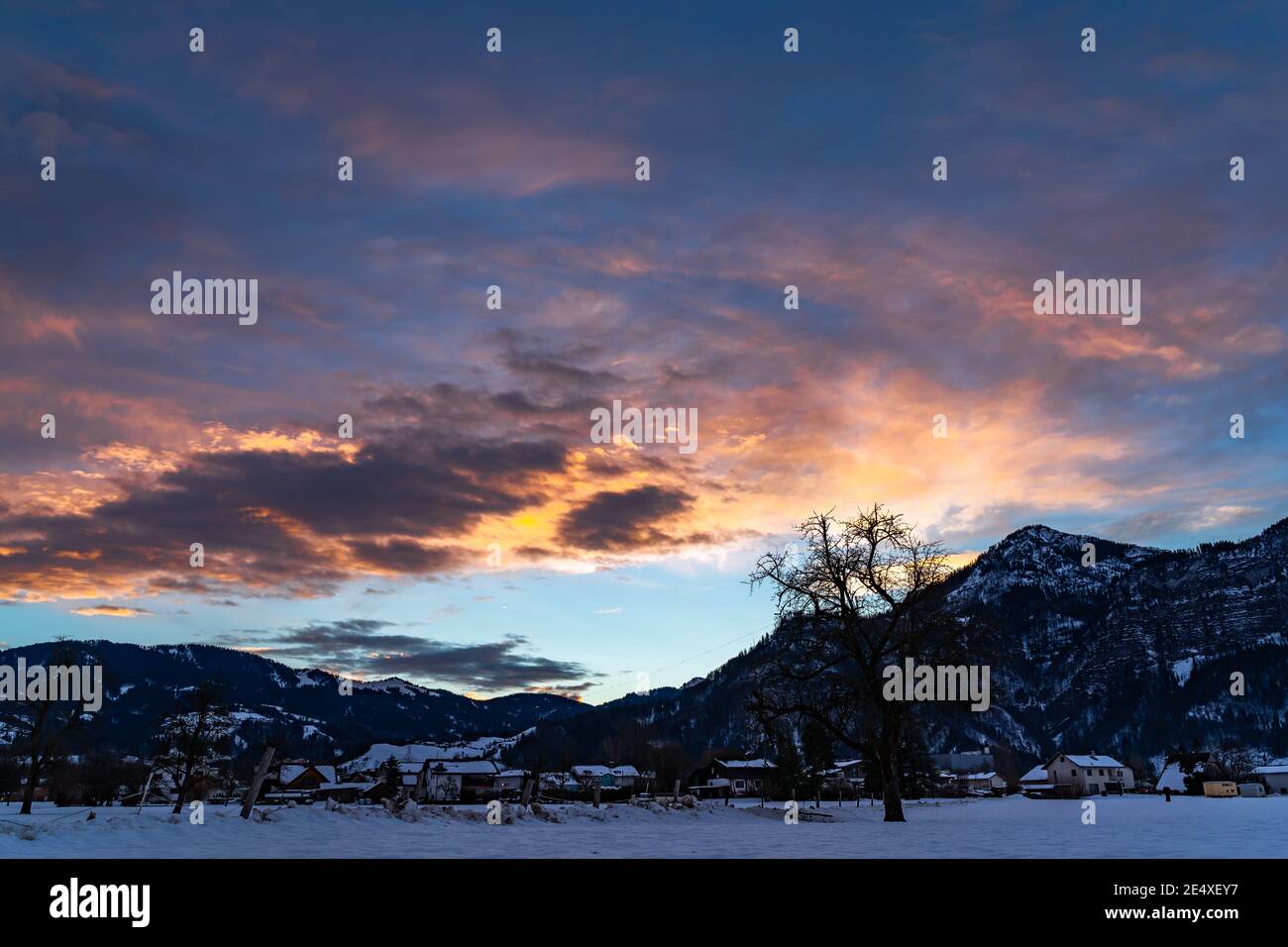 Zartfarbener Sonnenaufgang im Rheintal. Leuchtender Sonnenaufgang in Dornbirn, Vorarlberg, Österreich. Roter und orangefarbener Sonnenaufgang im Winter, mit Bäumen Stockfoto