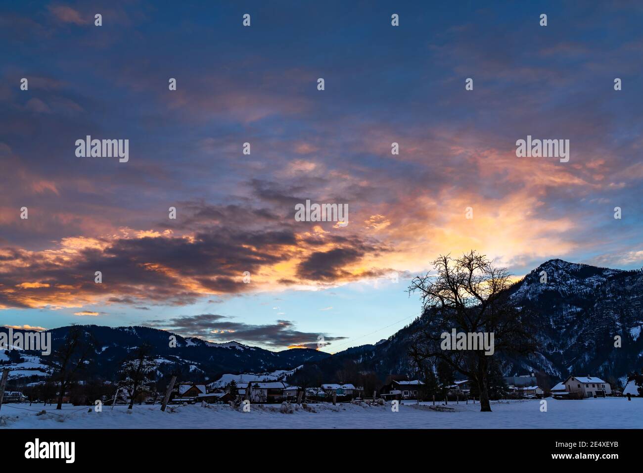 Zartfarbener Sonnenaufgang im Rheintal. Leuchtender Sonnenaufgang in Dornbirn, Vorarlberg, Österreich. Roter und orangefarbener Sonnenaufgang im Winter, mit Bäumen Stockfoto