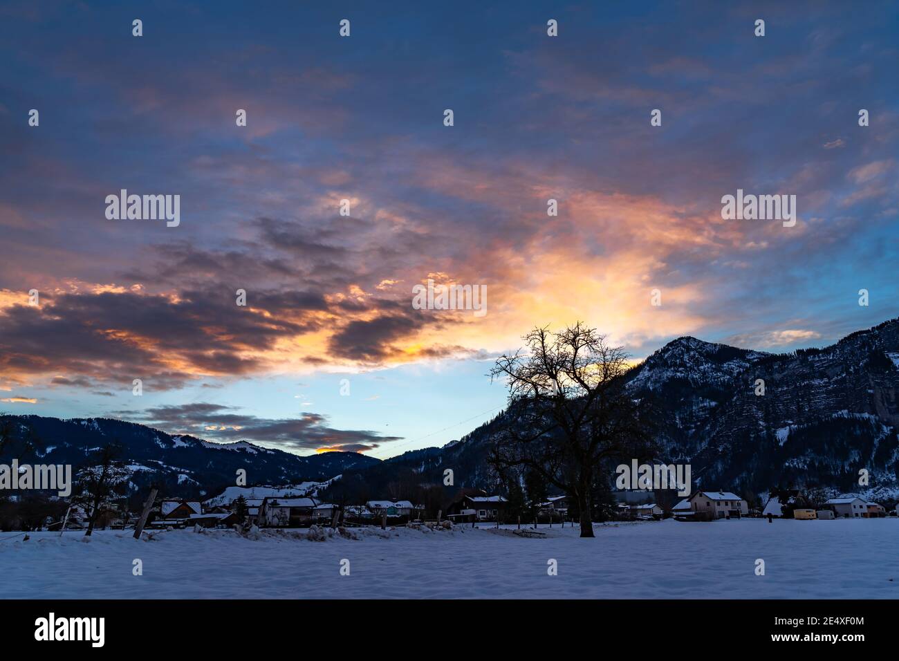 Zartfarbener Sonnenaufgang im Rheintal. Leuchtender Sonnenaufgang in Dornbirn, Vorarlberg, Österreich. Roter und orangefarbener Sonnenaufgang im Winter, mit Bäumen Stockfoto