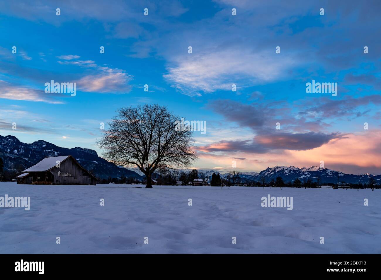 Zartfarbener Sonnenaufgang im Rheintal. Schöner Sonnenaufgang im Rheintal. Heuscheune und Einzelbaum auf verschneiten Feldern. Stadel und einzelner Baum. Österreich Stockfoto