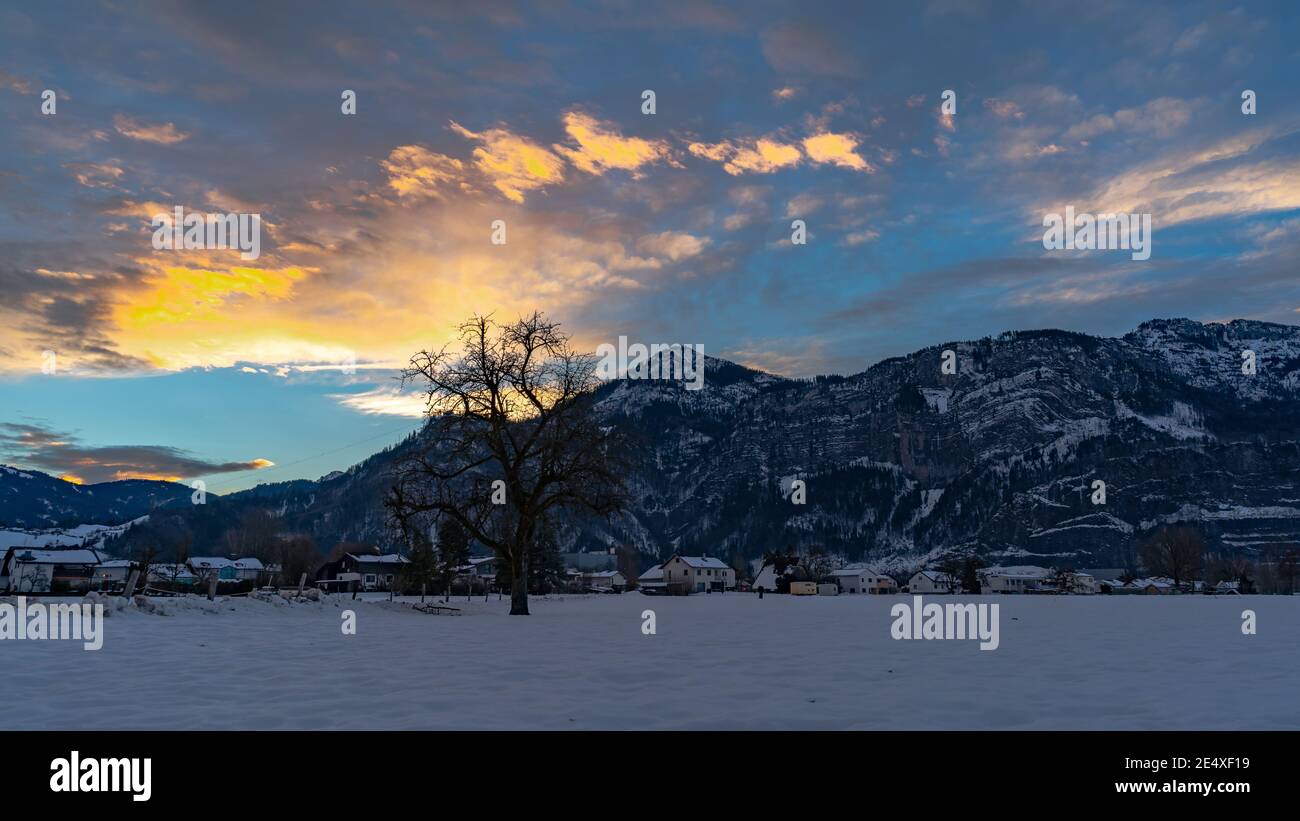 Zartfarbener Sonnenaufgang im Rheintal. Leuchtender Sonnenaufgang in Dornbirn, Vorarlberg, Österreich. Roter und orangefarbener Sonnenaufgang im Winter, mit Bäumen Stockfoto