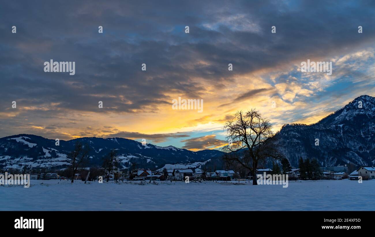 Zartfarbener Sonnenaufgang im Rheintal. Leuchtender Sonnenaufgang in Dornbirn, Vorarlberg, Österreich. Roter und orangefarbener Sonnenaufgang im Winter, mit Bäumen Stockfoto