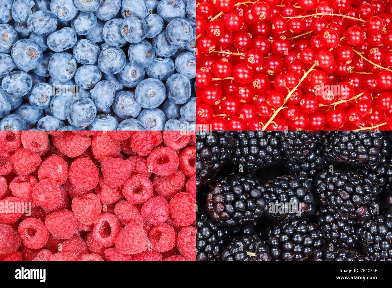 Beerenfrüchte Beeren Blaubeeren Lebensmittel Hintergrund Kollektion Collage Set Obst Hintergründe Stockfoto