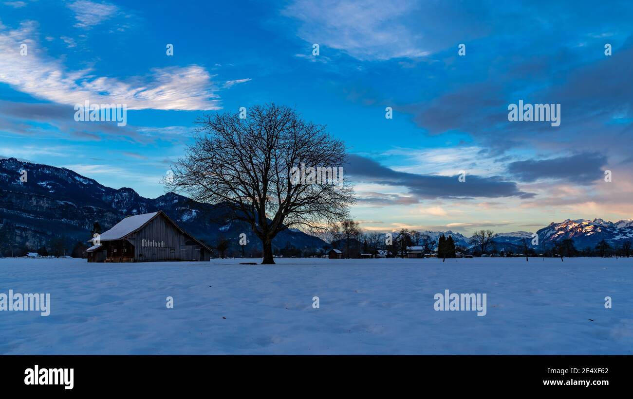 Zartfarbener Sonnenaufgang im Rheintal. Schöner Sonnenaufgang im Rheintal. Heuscheune und Einzelbaum auf verschneiten Feldern. Stadel und einzelner Baum. Österreich Stockfoto