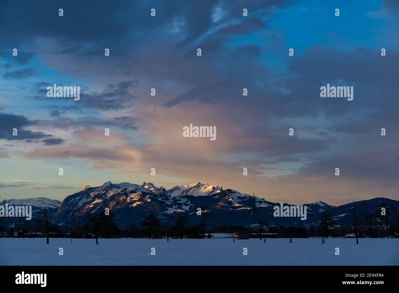 Wunderbarer Sonnenaufgang im Rheintal mit beleuchtetem Säntis. Farbige Wolken bei Sonnenaufgang über dem Rheintal. Verschneite Wiese mit Bäumen, Schweizer Berge. Stockfoto